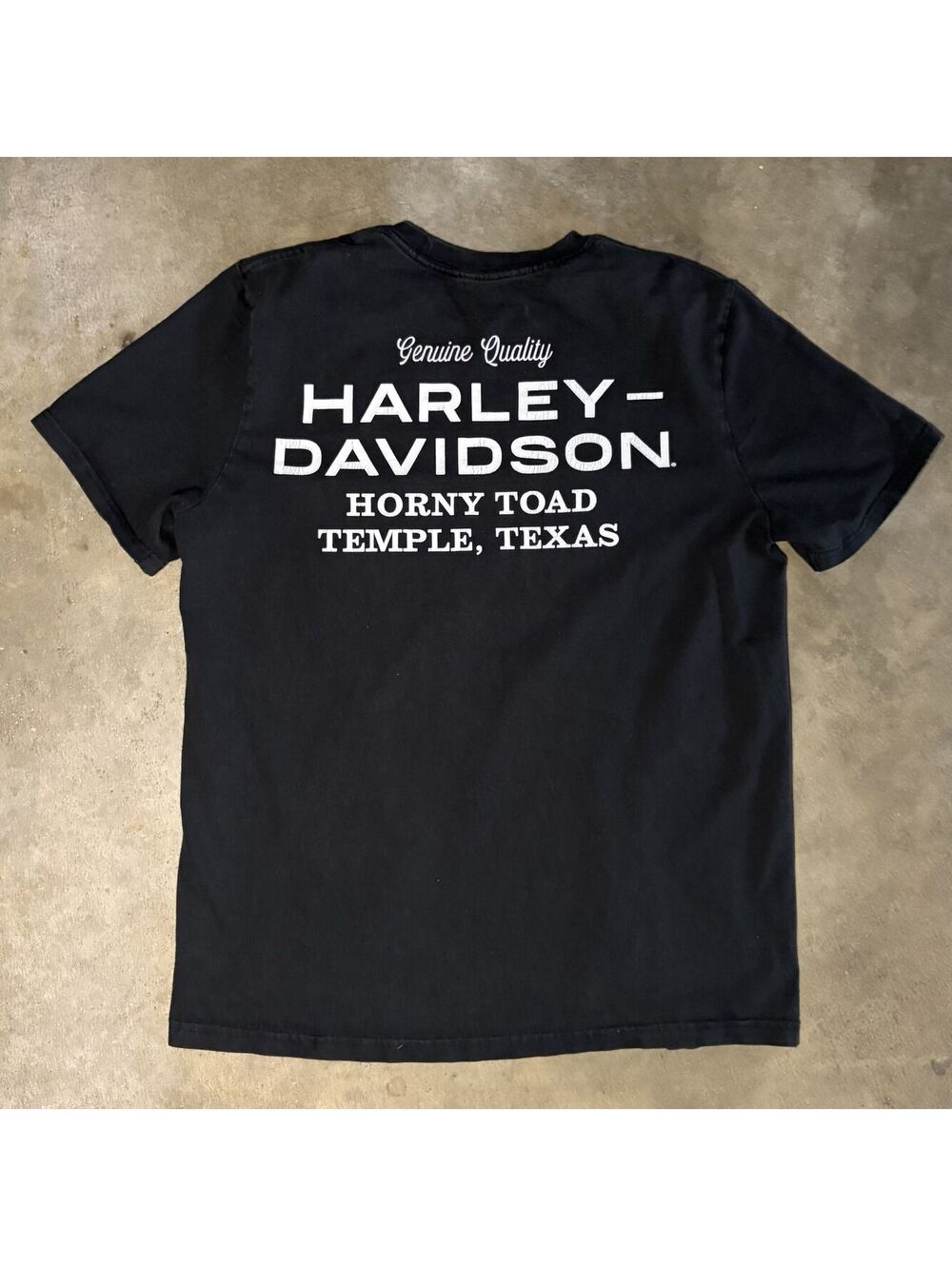 Harley-Davidson Men Sz L Horny Toad Graphic T-Shirt